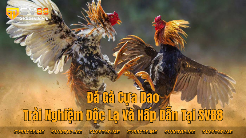 sv88-da-ga-cua-dao-trai-nghiem-doc-la-tai-sv88